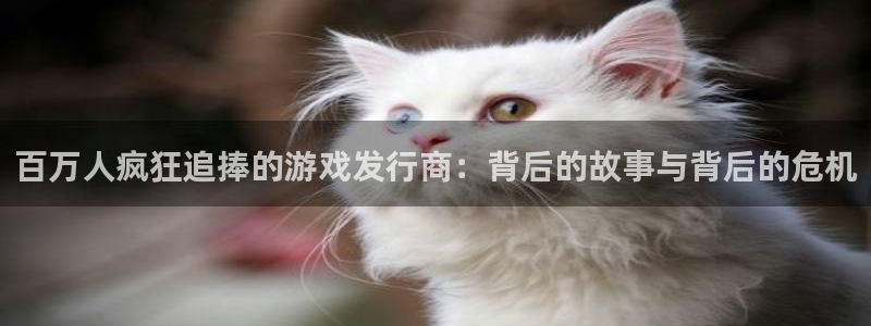 db电竞电子科技：百万人疯狂追捧的游戏发行商：背后的故事与背后的危机