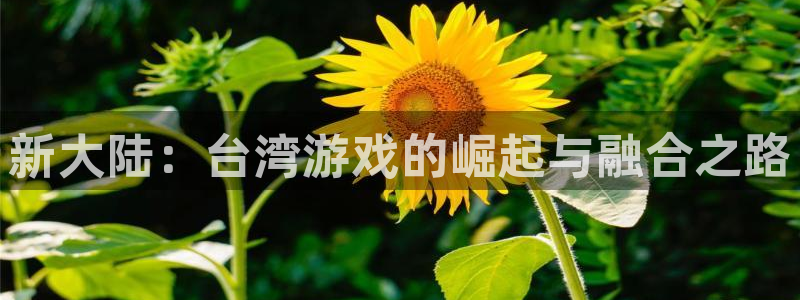 db电竞官网开户待遇：新大陆：台湾游戏的崛起与融合之路
