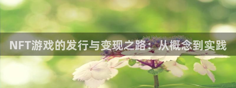 db电竞酒庄：NFT游戏的发行与变现之路：从概念到实践