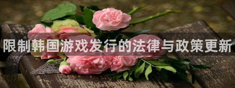 db电竞子财经图书：限制韩国游戏发行的法律与政策更新