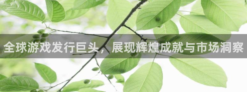 db电竞集团：全球游戏发行巨头，展现辉煌成就与市场洞察