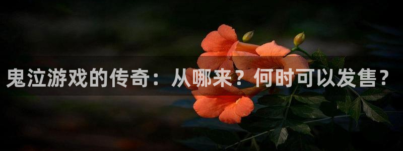 db电竞官网登录注册账号失败：鬼泣游戏的传奇：从哪来？何时可以发售？