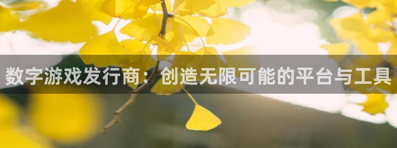 db电竞技术有限公司官网：数字游戏发行商：创造无限可能的平台与工具