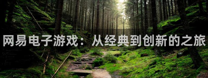db电竞官网客服怎么样：网易电子游戏：从经典到创新的之旅