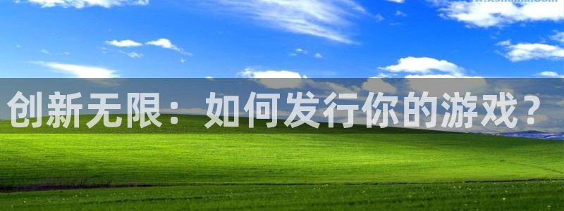db电竞官网登录注册失败怎么办：创新无限：如何发行你的游戏？