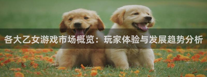 db电竞娱乐测速官网：各大乙女游戏市场概览：玩家体验与发展趋势分析