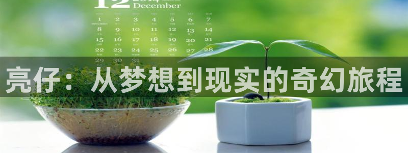 db电竞官网平台代理开号：亮仔：从梦想到现实的奇幻旅程