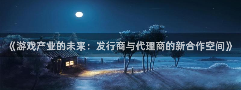 db电竞官网注册平台怎么注册：《游戏产业的未来：发行商与代理商的新合作空间》