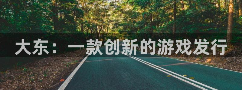 db电竞官网注册登录不了：大东：一款创新的游戏发行