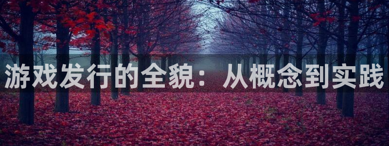 db电竞官网注册方法有哪些软件：游戏发行的全貌：从概念到实践