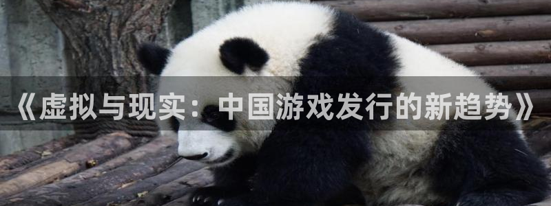 db电竞子经理人一共出了多少本：《虚拟与现实：中国游戏发行的新趋势》